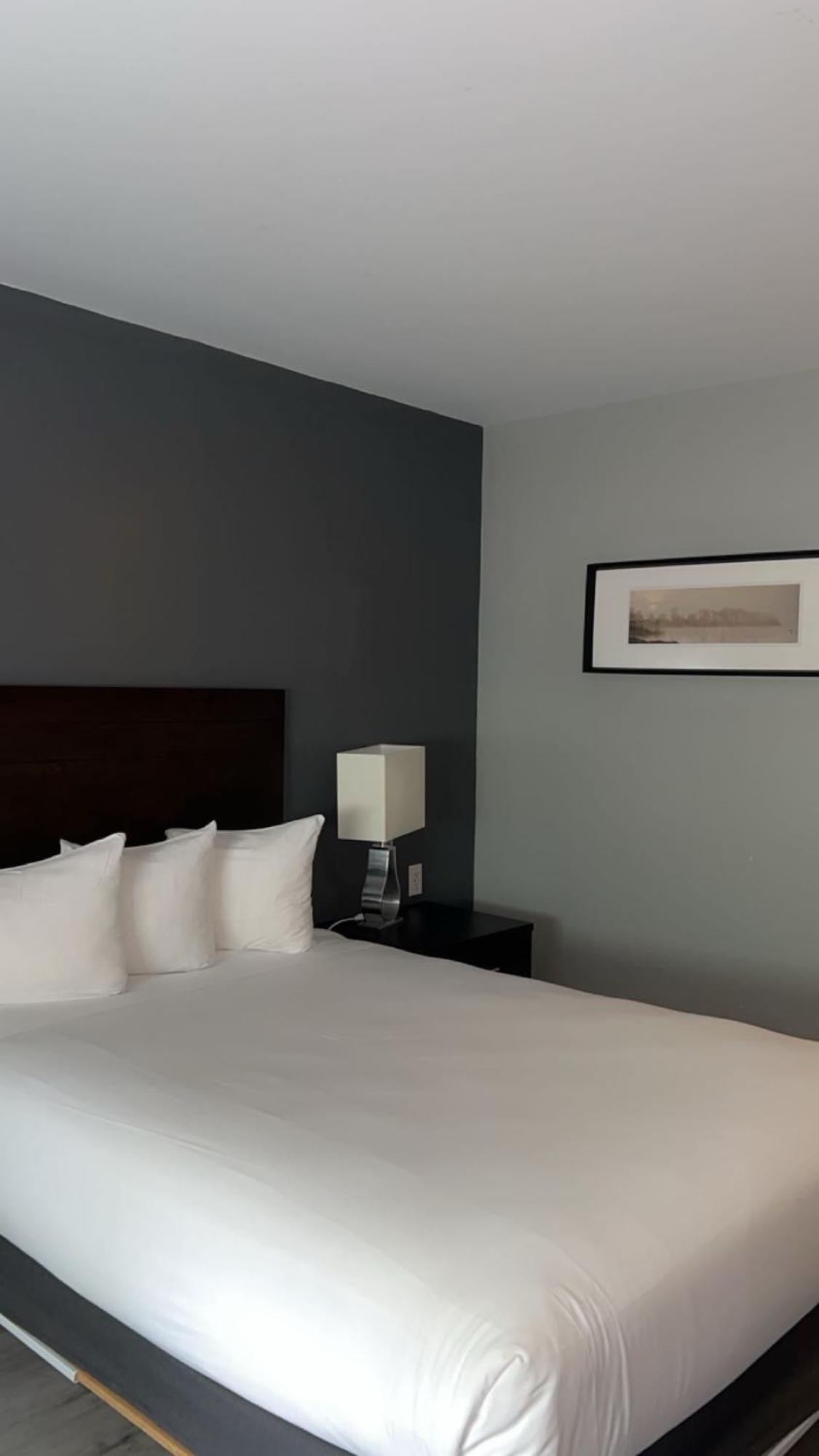 Hotel Newstar モントリオール エクステリア 写真